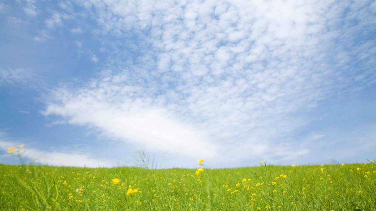 JIKKAの知恵ぶくろ｜助産師さんの知恵とぬくもりがぎゅっと詰まった、実家のようなブログ