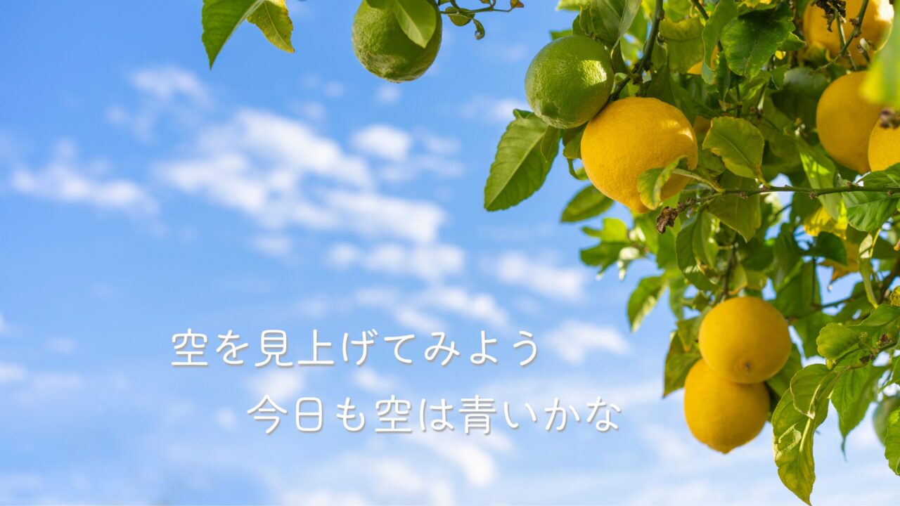 青空とレモンの木に『空を見上げてみよう 今日も空は青いかな』という文字